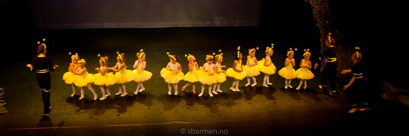 IMG\_5867-13