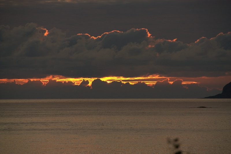 IMG\_1055